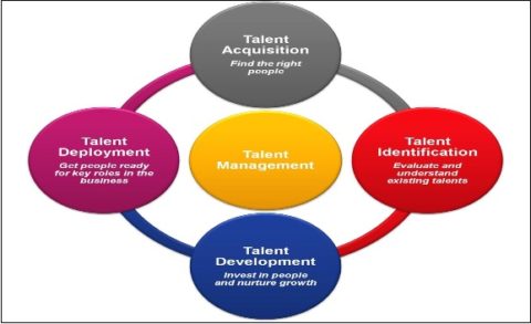 Cultural Perspective on Talent Management | Course Keys