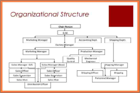 Controlling: Organizational Structure-Case of Coca-Cola | Course Keys